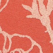 Prince 504  Kvadrat